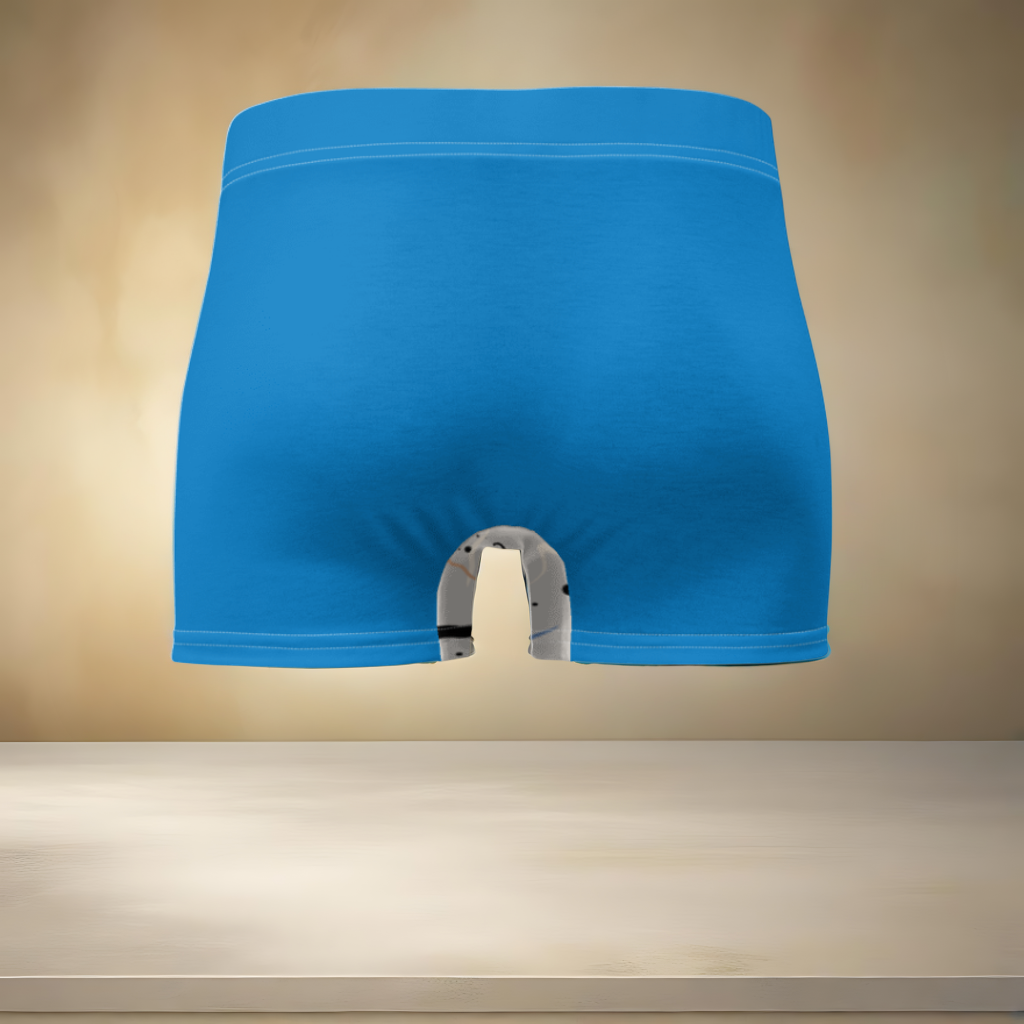 Boxer Brief(Blue)