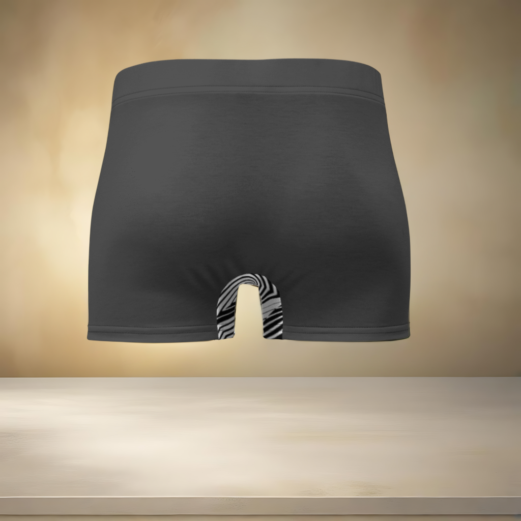 Boxer Brief(Eclipse)