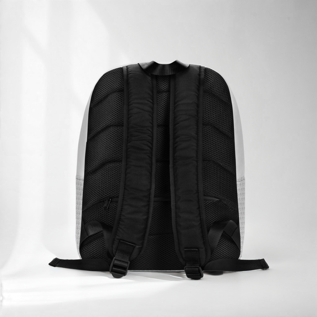 Blk & Wte minimalist backpack back view